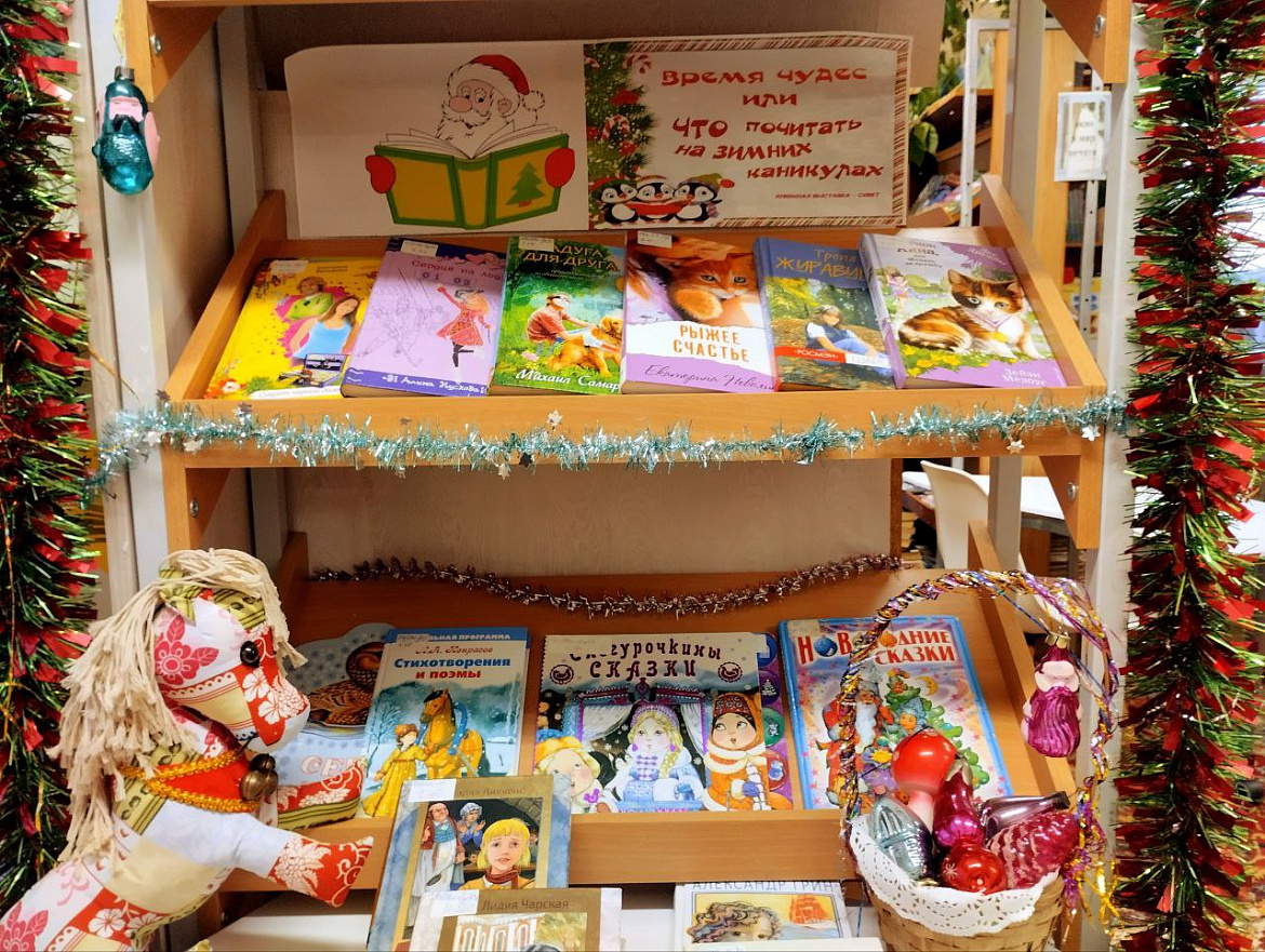 Рождественский книговорот с.Троица
