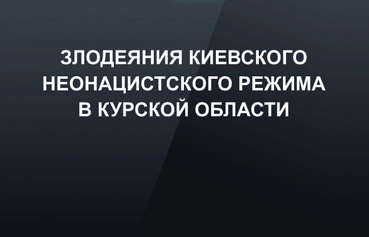 Выставка «Злодеяния киевского неонацистского режима в Курской области»