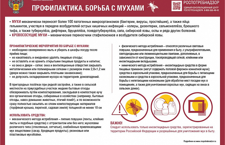 Памятка по профилактике борьбе с насекомыми и грызунами