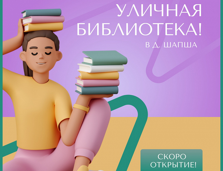 Уличная библиотека Шапша