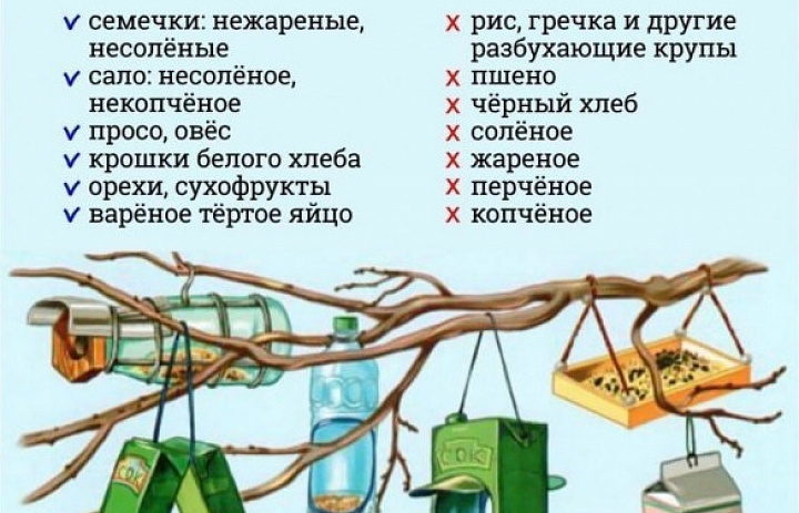 Трудно птицам зимовать, надо птицам помогать