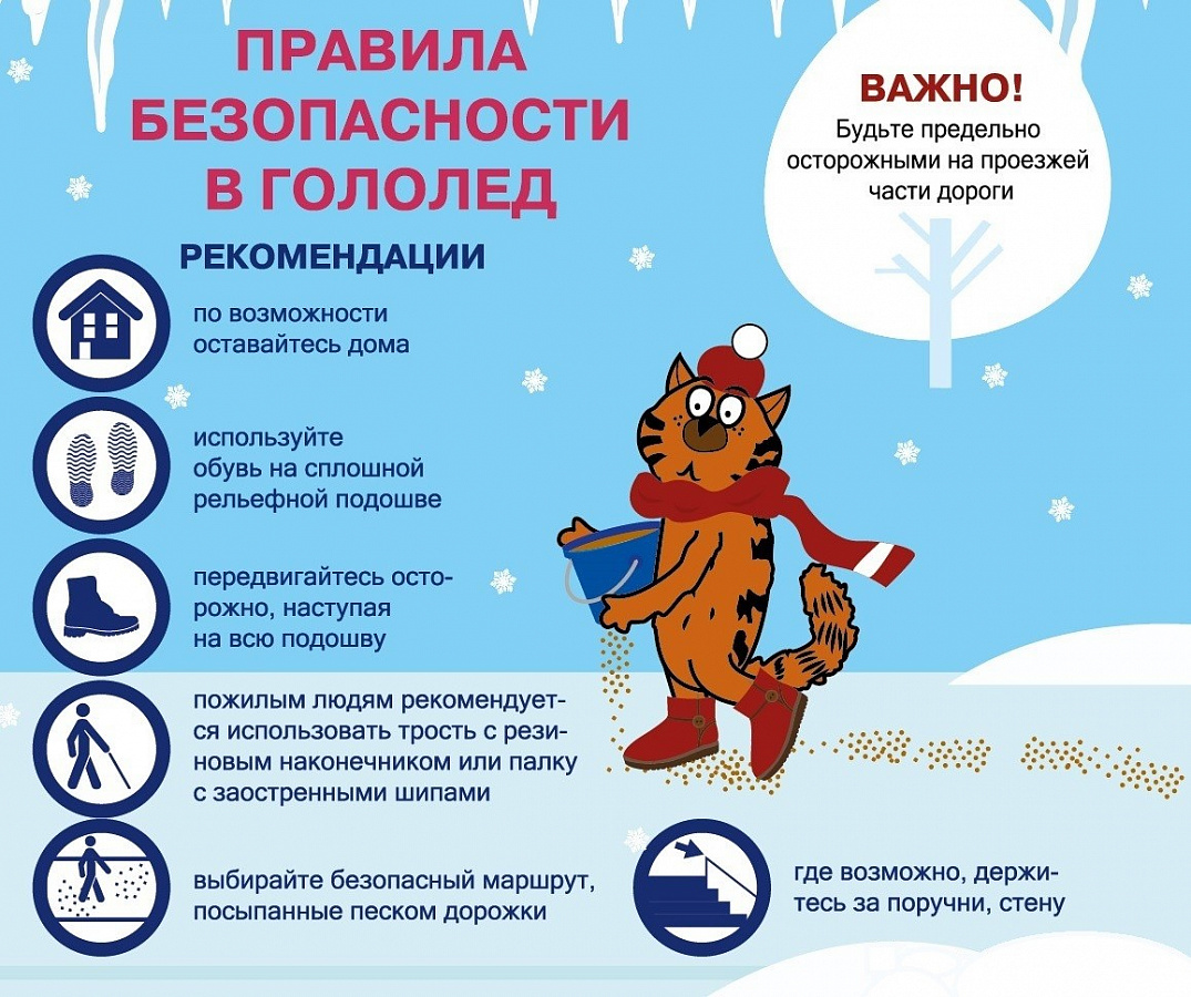Правила безопасности в гологед