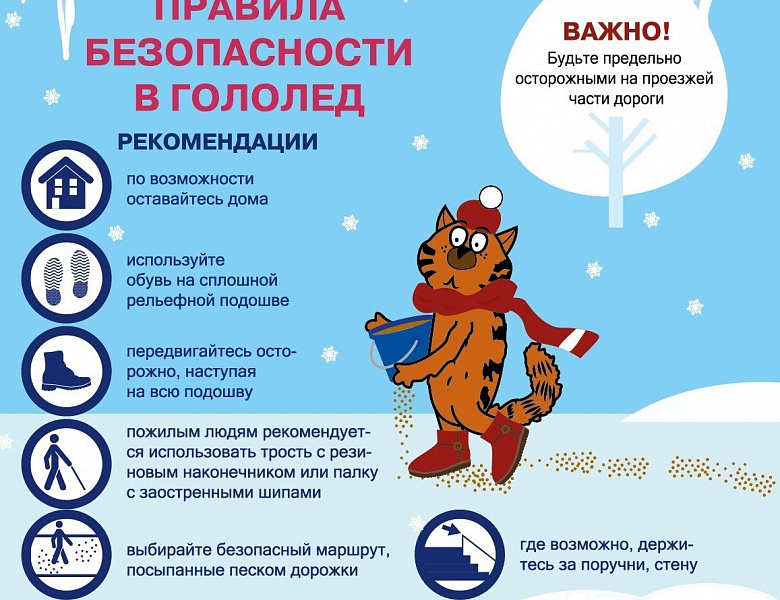 Правила безопасности в гологед